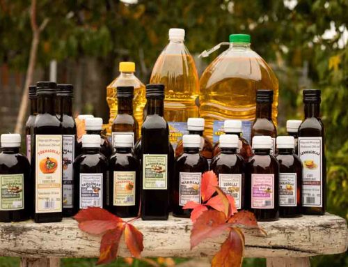 A mindennapi konyhai rutinom hidegen sajtolt olajokkal