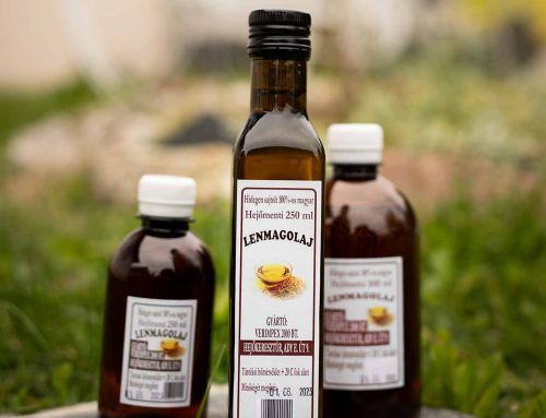Lenmagolaj, mint omega-3 zsírsav forrás: vegán alternatíva a halolaj helyett