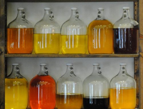 Miért nem mindegy, hogyan tárolod az olajat? – Saját hibámból tanultam